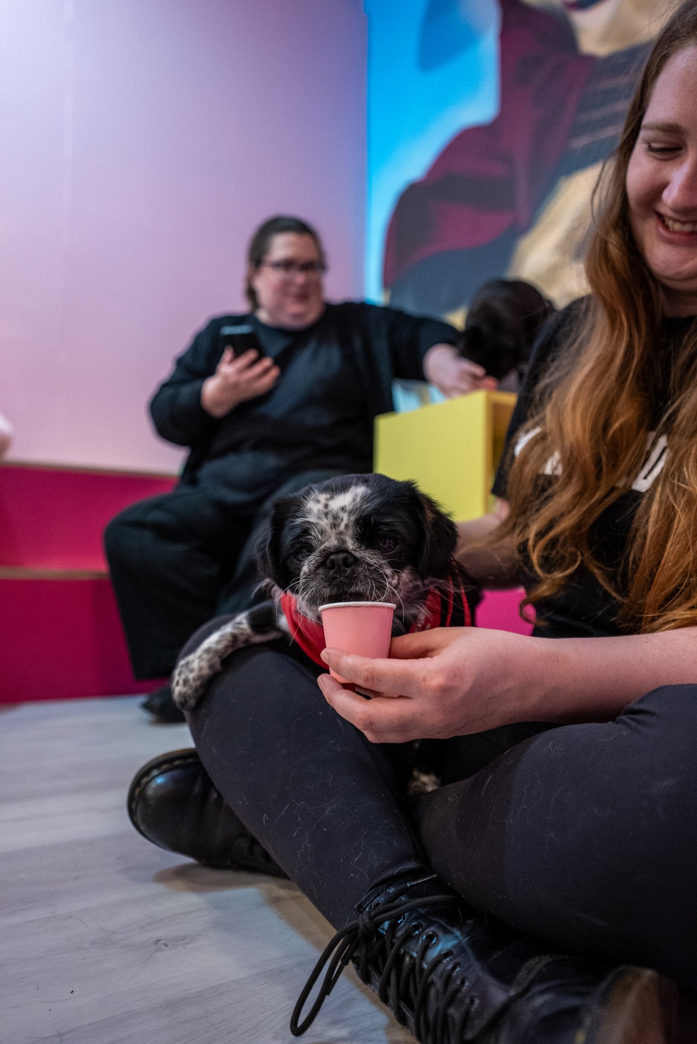 edinburgh-fringe-feature-cuppapug-little-lark-of-london